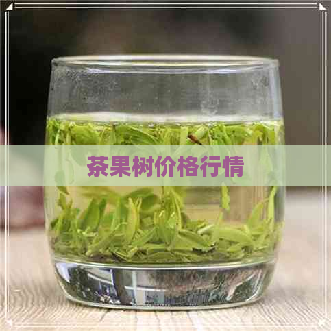 茶果树价格行情