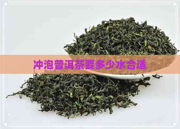 冲泡普洱茶要多少水合适