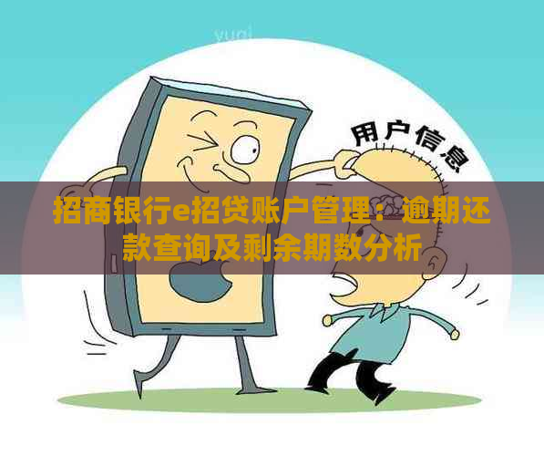 招商银行e招贷账户管理：逾期还款查询及剩余期数分析