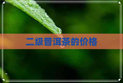 二级普洱茶的价格