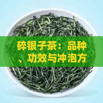 碎银子茶：品种、功效与冲泡方法全面解析，让你了解这种独特茶叶的一切