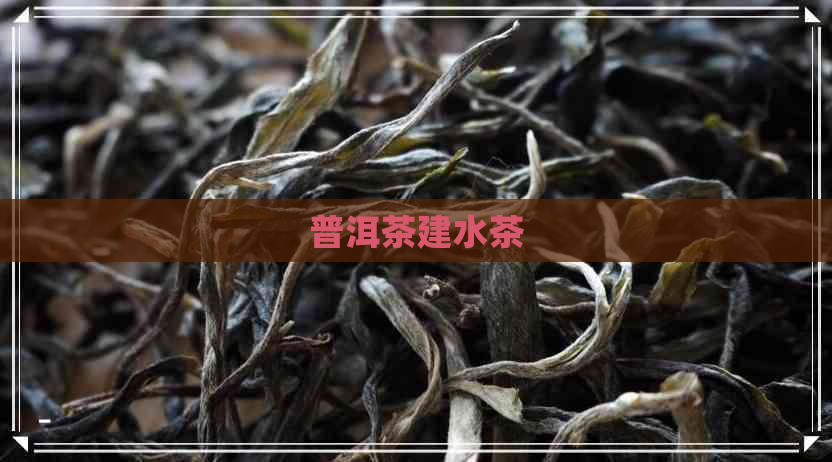 普洱茶建水茶