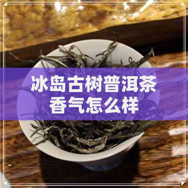 冰岛古树普洱茶香气怎么样