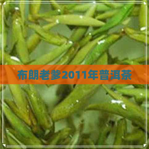 布朗老爹2011年普洱茶