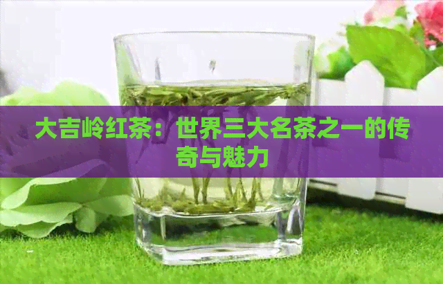 大吉岭红茶：世界三大名茶之一的传奇与魅力