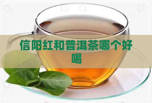 信阳红和普洱茶哪个好喝