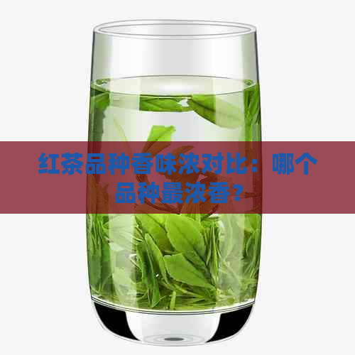 红茶品种香味浓对比：哪个品种最浓香？