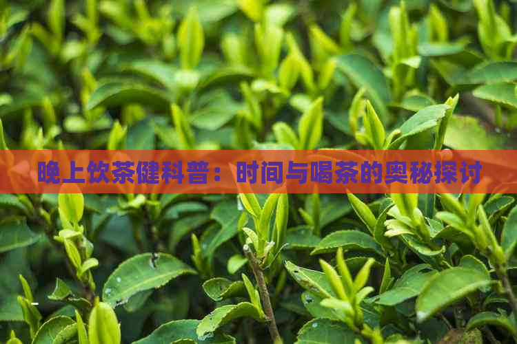 晚上饮茶健科普：时间与喝茶的奥秘探讨