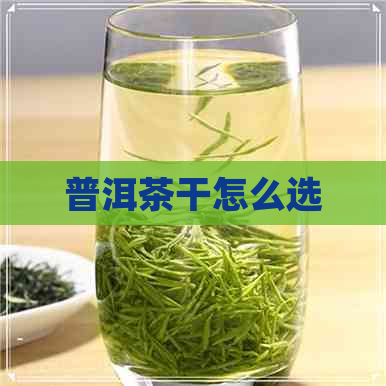 普洱茶干怎么选