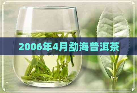 2006年4月勐海普洱茶