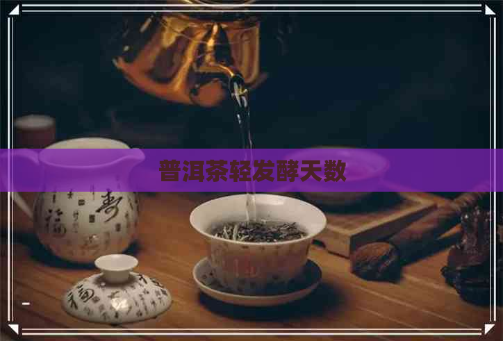 普洱茶轻发酵天数