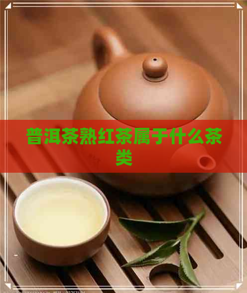 普洱茶熟红茶属于什么茶类