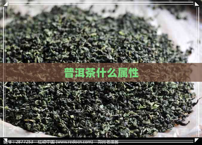 普洱茶什么属性