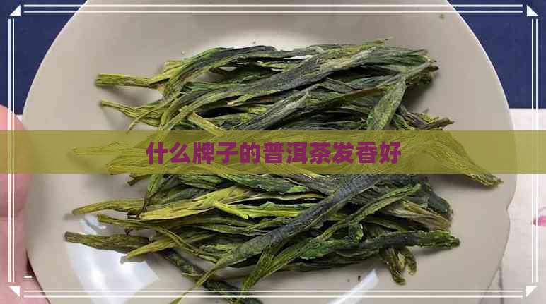 什么牌子的普洱茶发香好