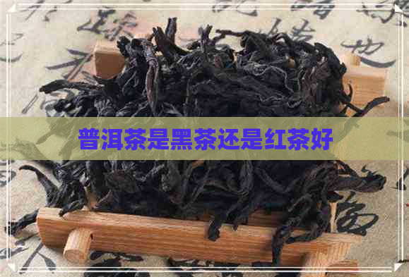 普洱茶是黑茶还是红茶好