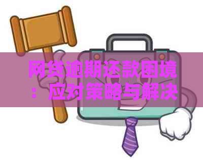 网贷逾期还款困境：应对策略与解决方案