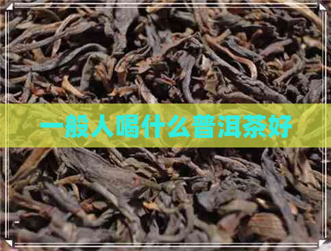 一般人喝什么普洱茶好