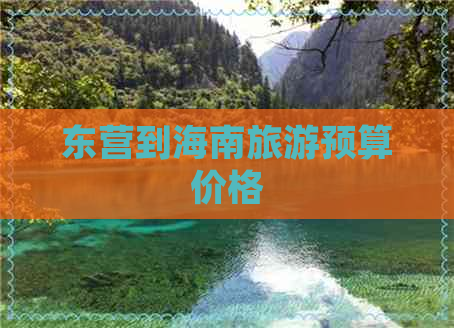 东营到海南旅游预算价格