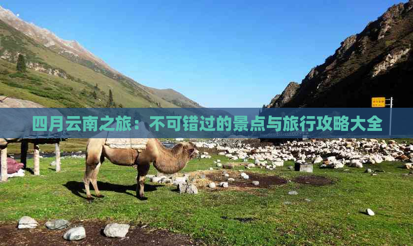 四月云南之旅：不可错过的景点与旅行攻略大全