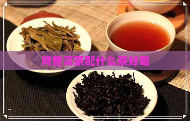 鸿普洱茶配什么茶好喝