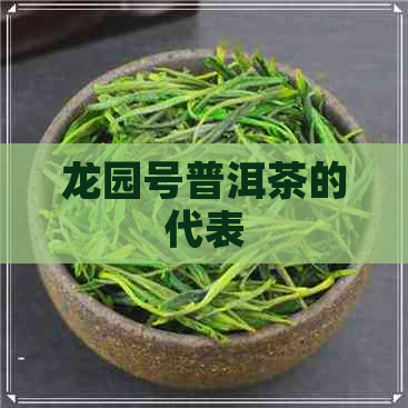 龙园号普洱茶的代表