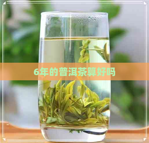 6年的普洱茶算好吗