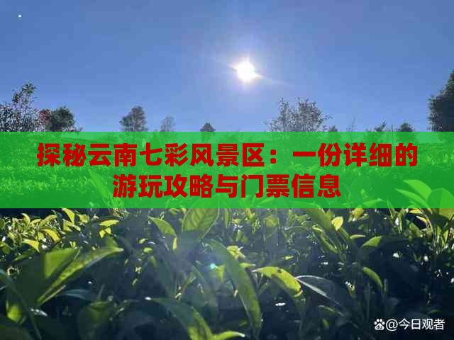 探秘云南七彩风景区：一份详细的游玩攻略与门票信息