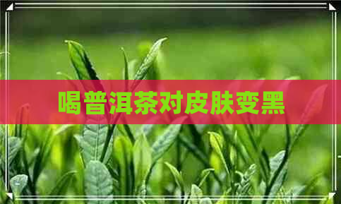 喝普洱茶对皮肤变黑