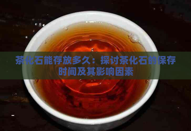 茶化石能存放多久：探讨茶化石的保存时间及其影响因素