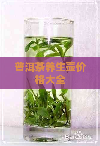 普洱茶养生壶价格大全