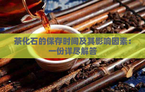 茶化石的保存时间及其影响因素：一份详尽解答