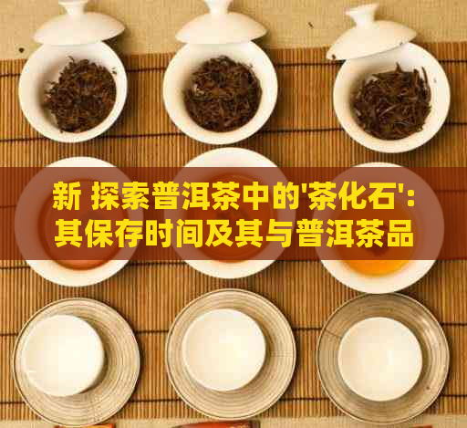 新 探索普洱茶中的'茶化石':其保存时间及其与普洱茶品质的关系