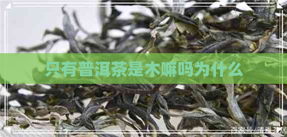 只有普洱茶是木嘛吗为什么