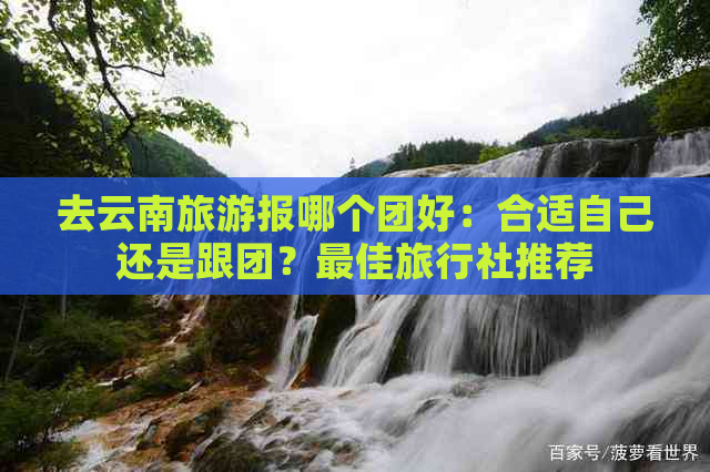 去云南旅游报哪个团好：合适自己还是跟团？更佳旅行社推荐