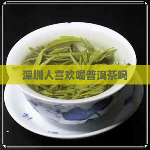 深圳人喜欢喝普洱茶吗