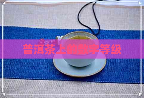 普洱茶上的数字等级