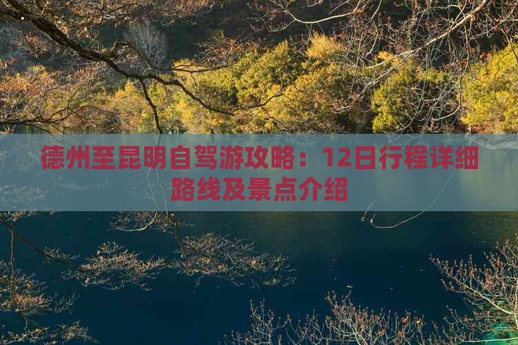 德州至昆明自驾游攻略：12日行程详细路线及景点介绍