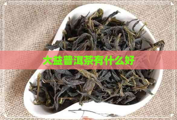 大益普洱茶有什么好