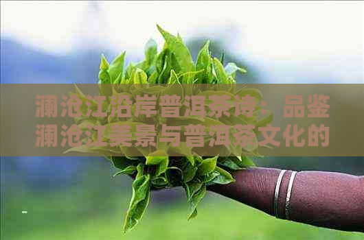 澜沧江沿岸普洱茶诗：品鉴澜沧江美景与普洱茶文化的完美结合