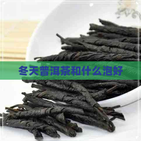 冬天普洱茶和什么泡好