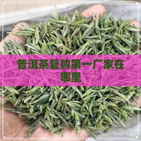 普洱茶复购之一厂家在哪里