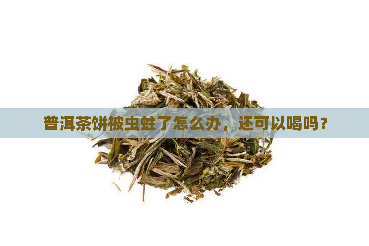 普洱茶饼被虫蛀了怎么办，还可以喝吗？