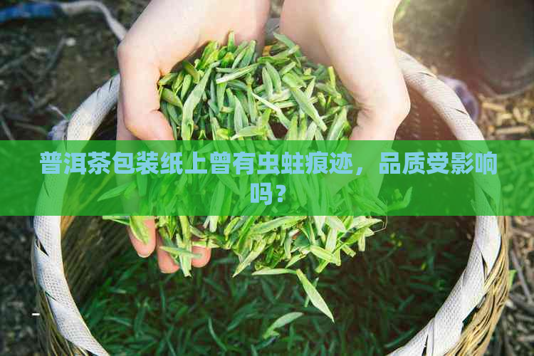 普洱茶包装纸上曾有虫蛀痕迹，品质受影响吗？