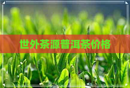 世外茶源普洱茶价格