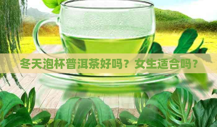 冬天泡杯普洱茶好吗？女生适合吗？