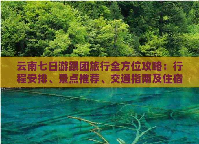 云南七日游跟团旅行全方位攻略：行程安排、景点推荐、交通指南及住宿精选