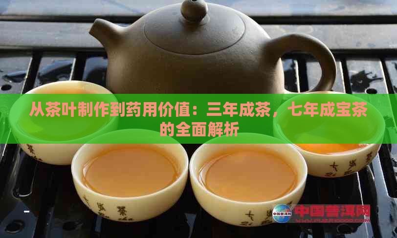 从茶叶制作到药用价值：三年成茶，七年成宝茶的全面解析