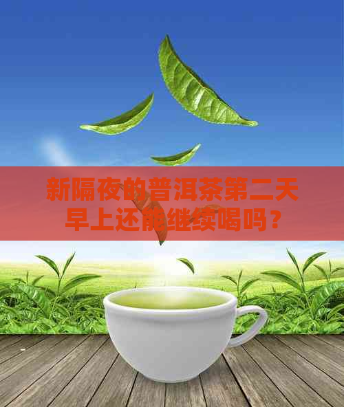 新隔夜的普洱茶第二天早上还能继续喝吗？