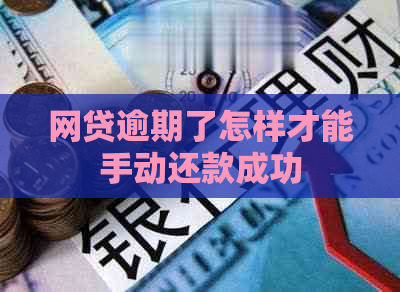 网贷逾期了怎样才能手动还款成功