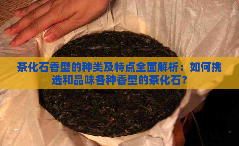 茶化石香型的种类及特点全面解析：如何挑选和品味各种香型的茶化石？